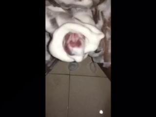 Boy mastrubates covered in foam and licks his tasty cum 