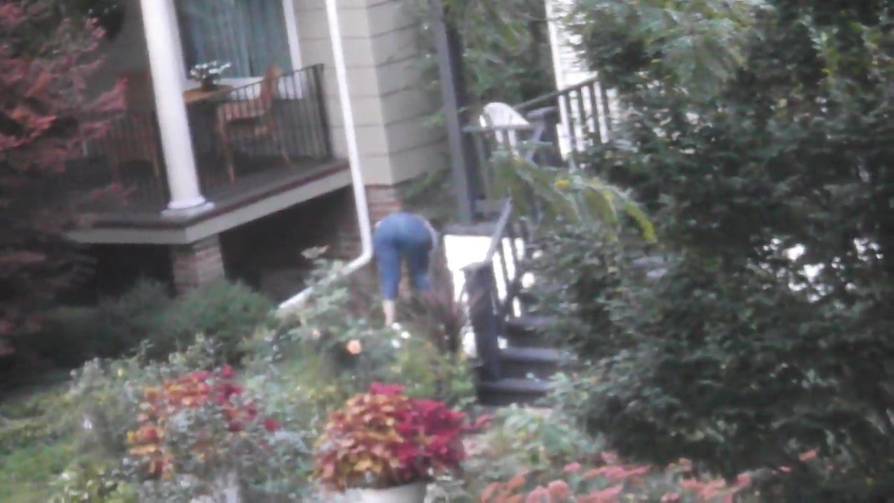 PAWG Neighbor Mowing Lawn Returns