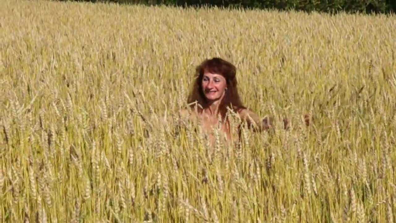 In the field of golden wheat