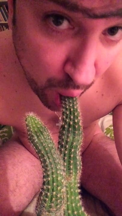 Swineboy give a cactus a bj