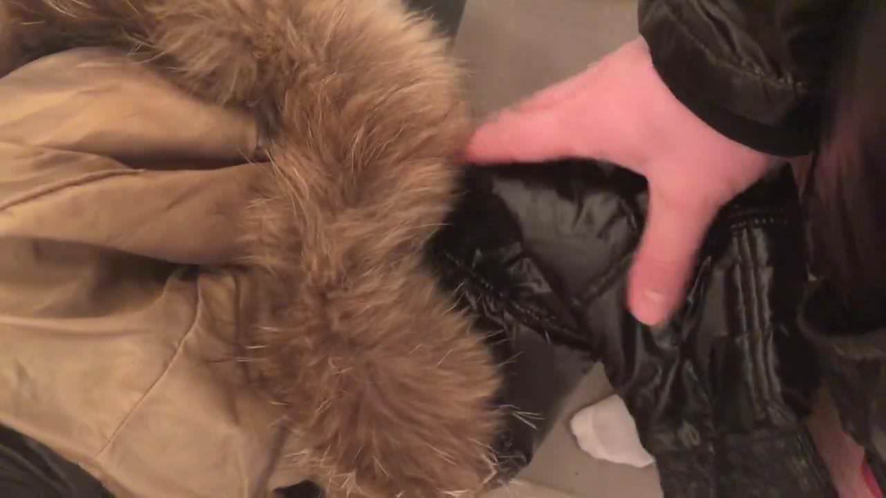 NICKELSON AND FUR PLAY