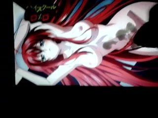 Rias Gremory (HighschoolDxD) Cum Tribute