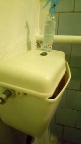 Toilet tank flush