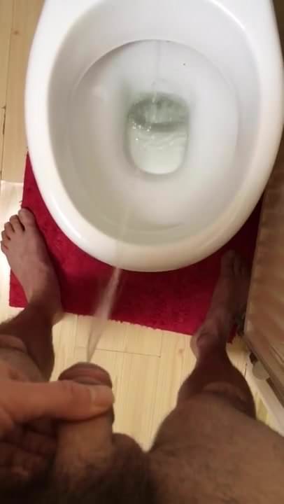 Pissing in the loo