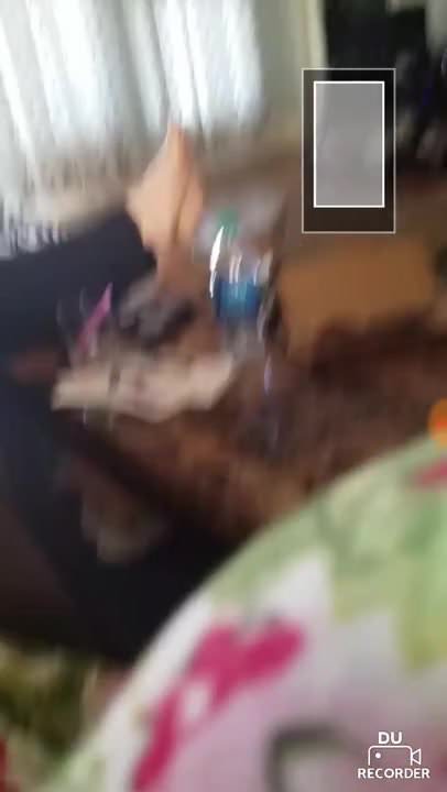 EBONY NAIJA GIRL LICKING ASS AND SUCKING DEEP FOR A SHORT CUM