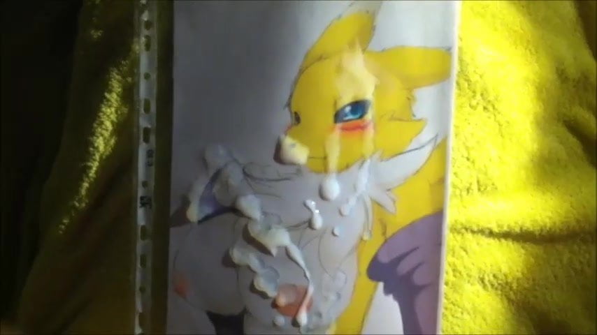 SoP: Renamon (Digimon)