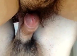 Hairy cock & pussy