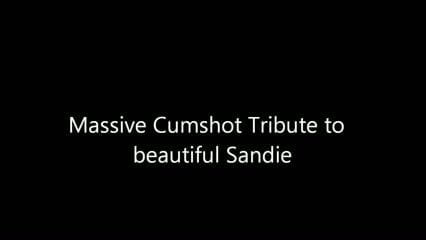 Massive Cumshot Tribute to Beautiful Sandie