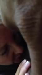 Married woman sucking a big black cock