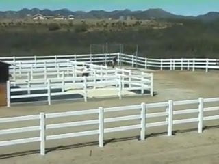 My Barn My Rules