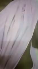 sexy lady in saree.mp4