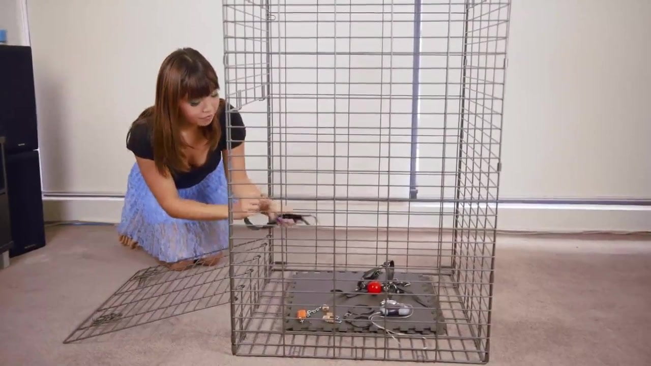 Self-Bondage In A Cage