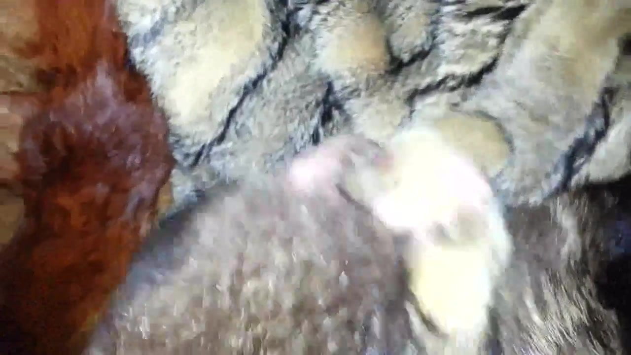 twink friend is cumming on his furs