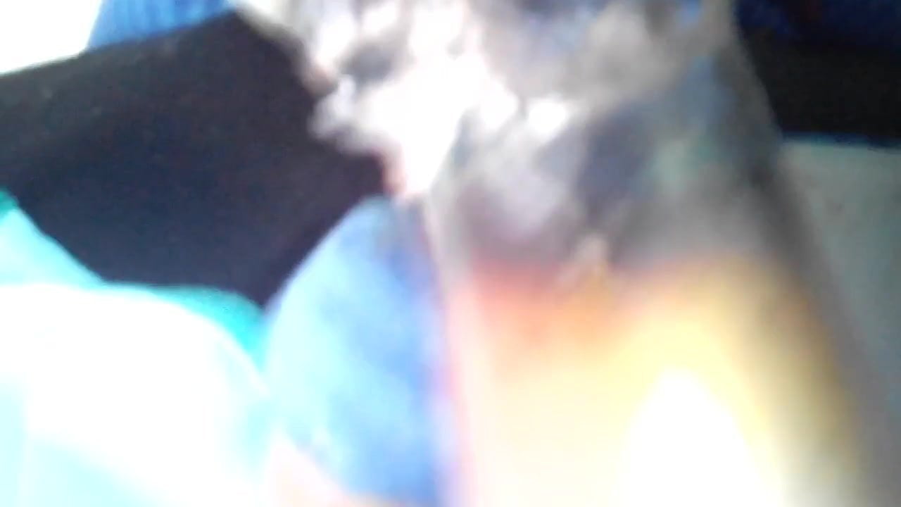 Twinks fuck on webcam