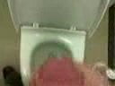 Toilet wank
