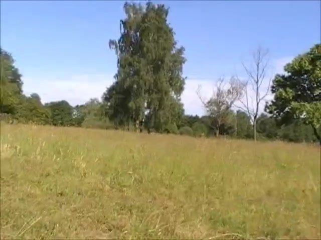 Serena lovely bushy romenian