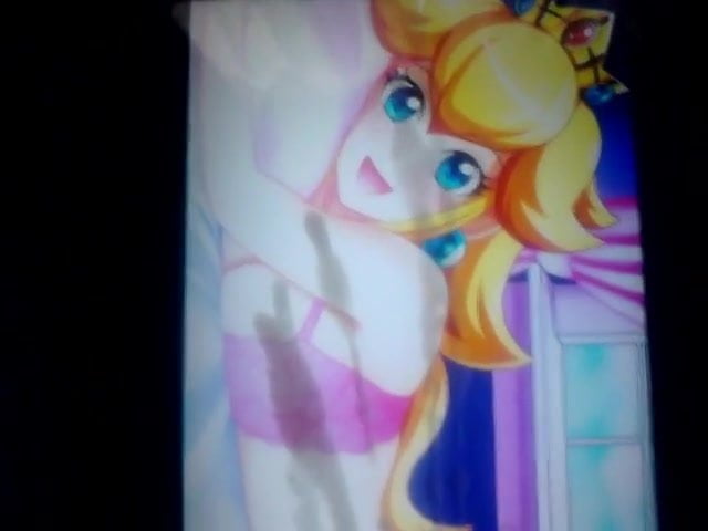 SOP: Princess Peach