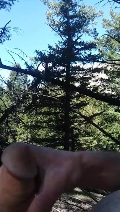 Jerking my dick in nature