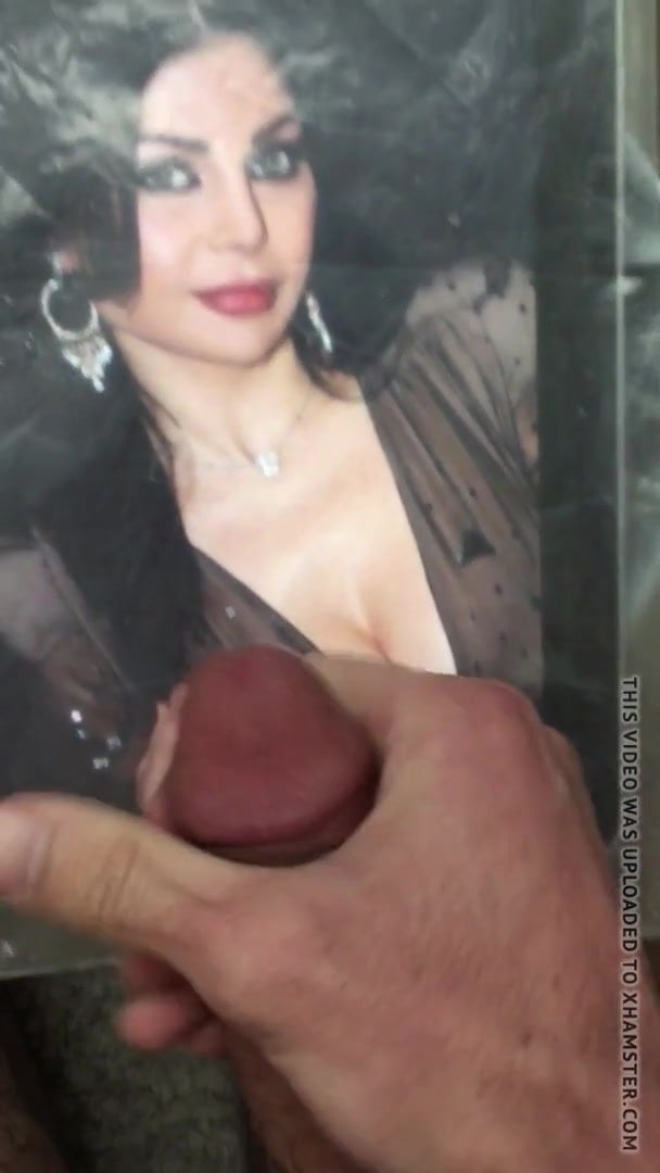 Haifa Wehbe Cum Tribute
