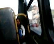 Exib bus