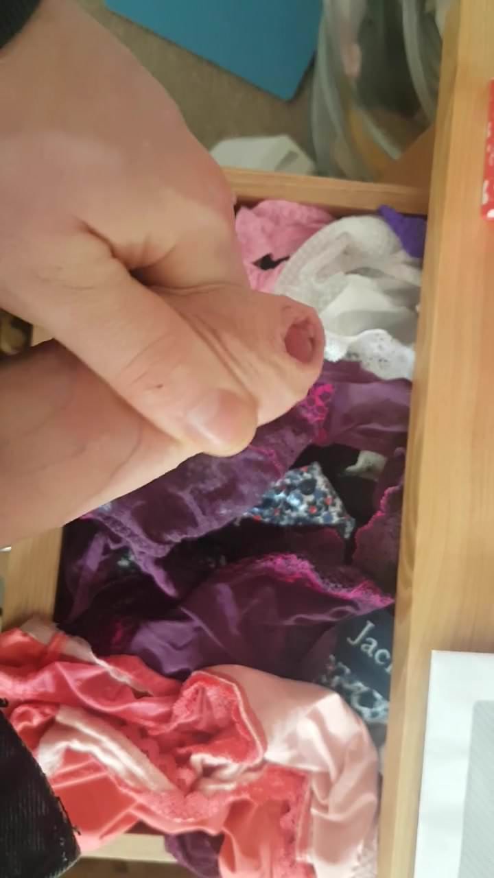 Girlfriend's Sisters Second Panty Drawer 