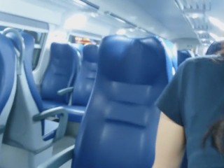 Couple anal fuck on public train