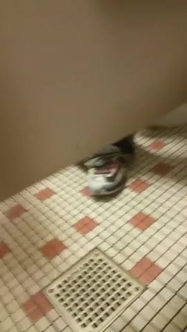cum dripping in the stall - 1