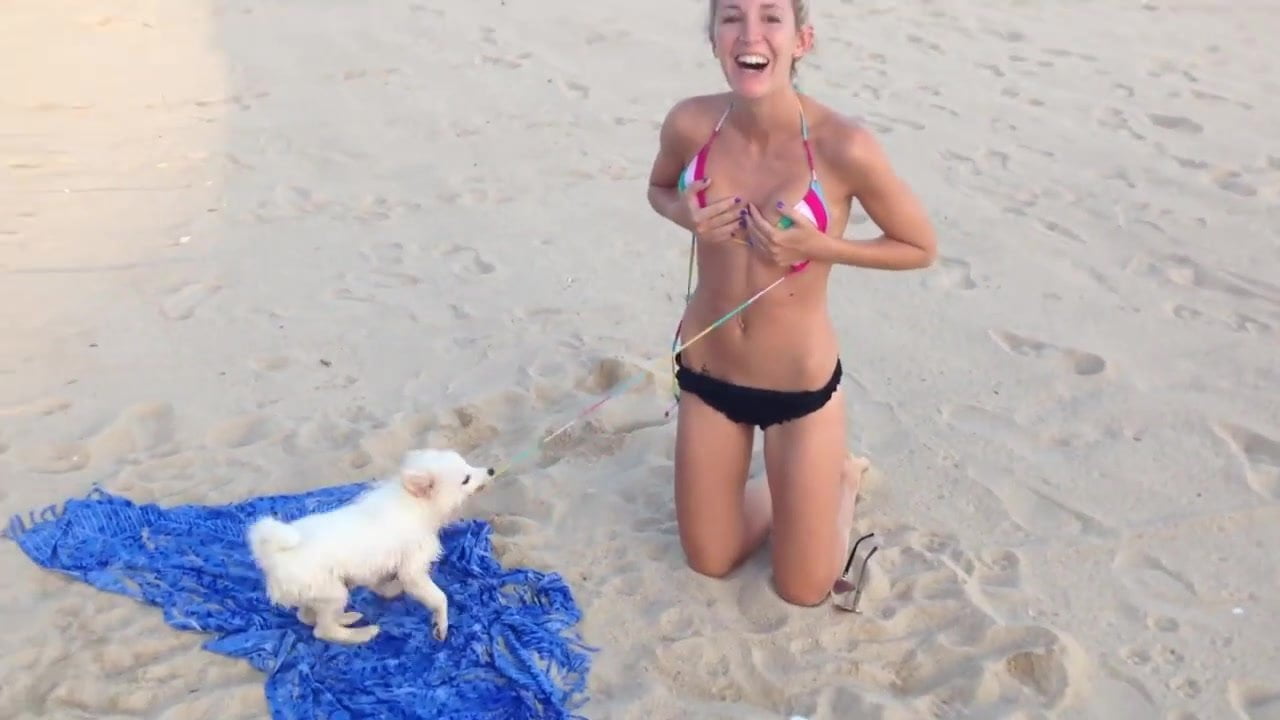 Bikini fail feat cute puppy
