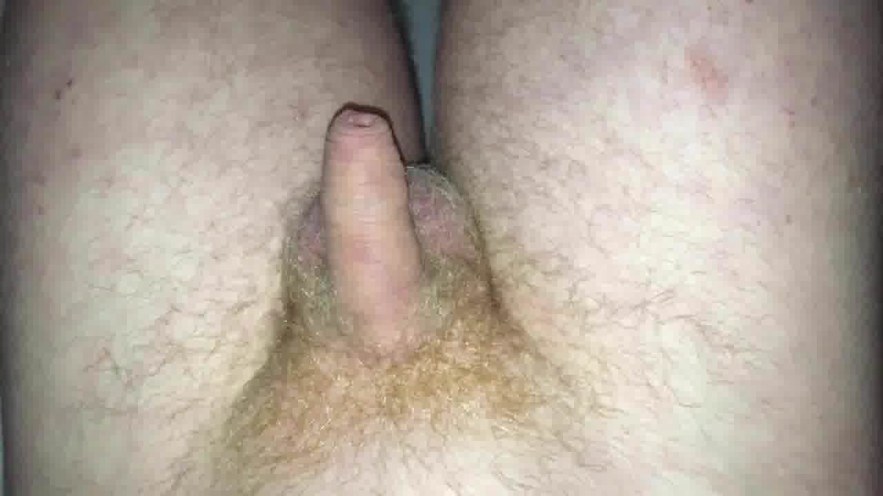 Small foreskin Penis close up