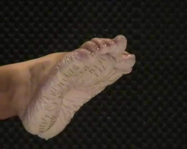 Bianca's feet staples