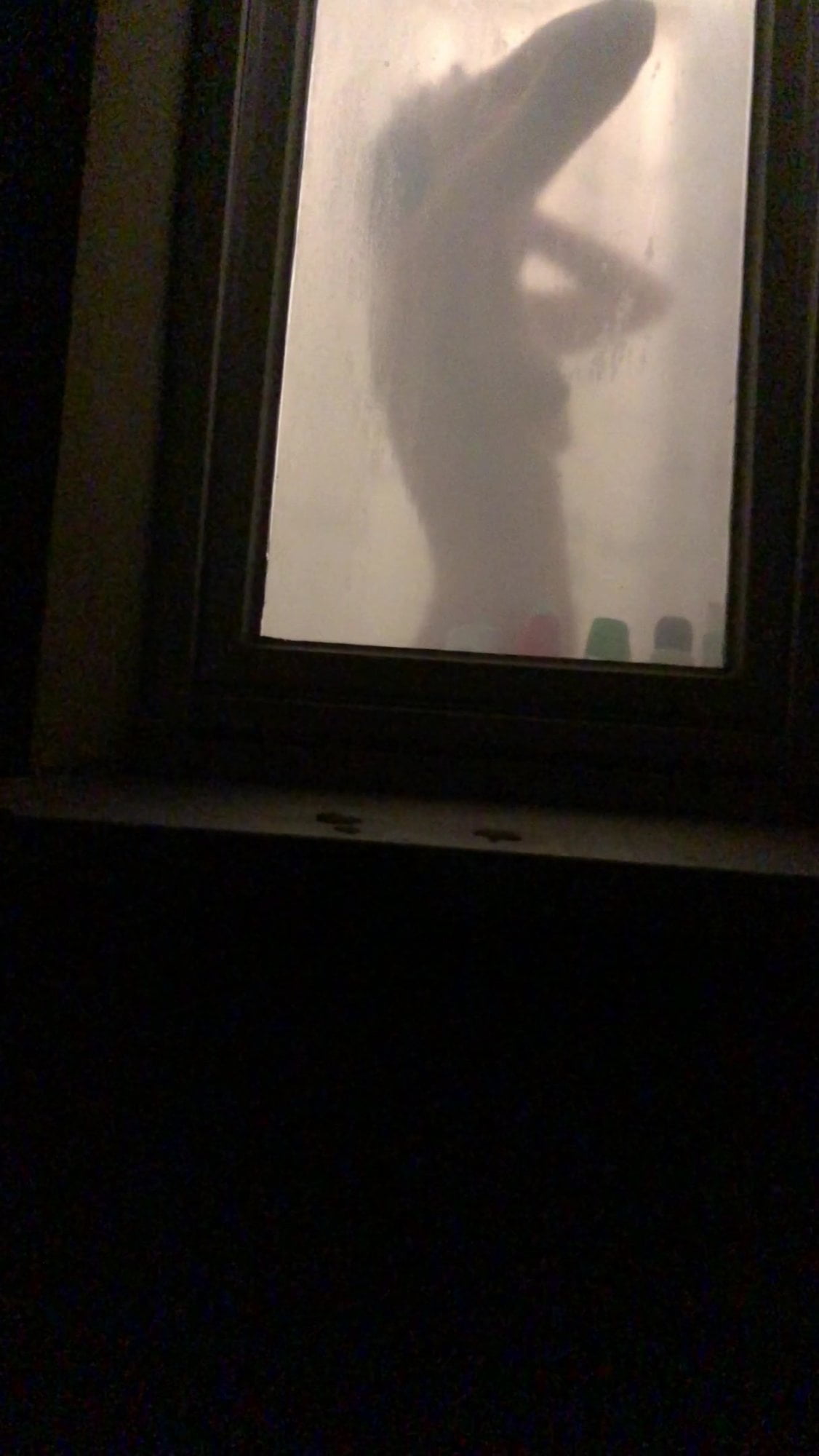 Hidden cam window shower 3
