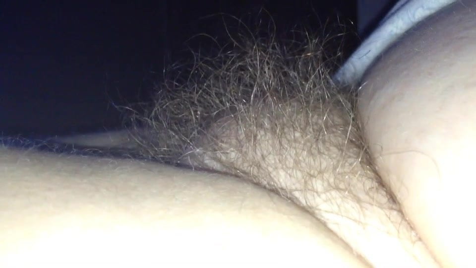 the puffy hairy bush of my wife.