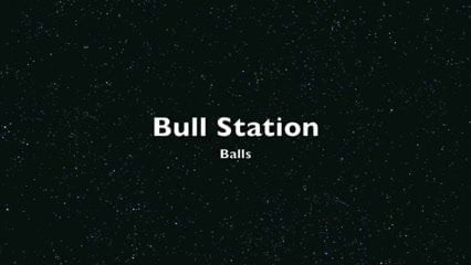 Bull Station 1