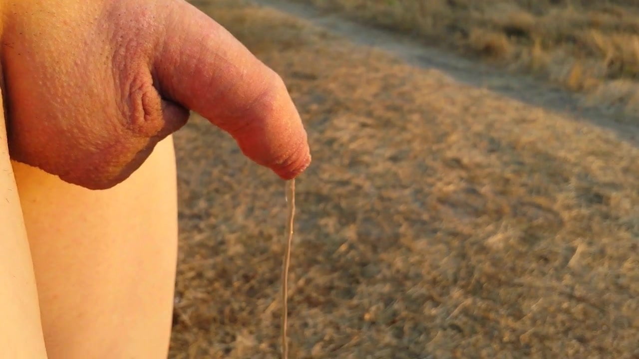 Naked pissing on a field