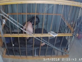 The Cage Cam May 9 2018 0041 Another day starts.. (in darkness)