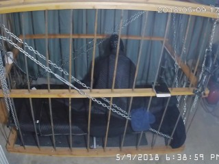The Cage Cam May 9 2018 1632 Motion sensor triggered recordings