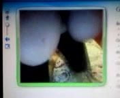 Babe valerydoll flashing boobs on live webcam